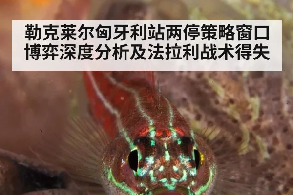勒克莱尔匈牙利站两停策略窗口博弈深度分析及法拉利战术得失